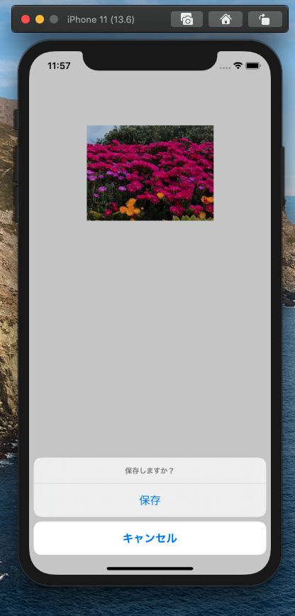 スクリーンショット 2020-09-20 11.57.25.png