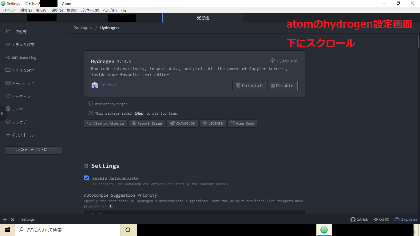 Atom hydrogen設定画面1.png