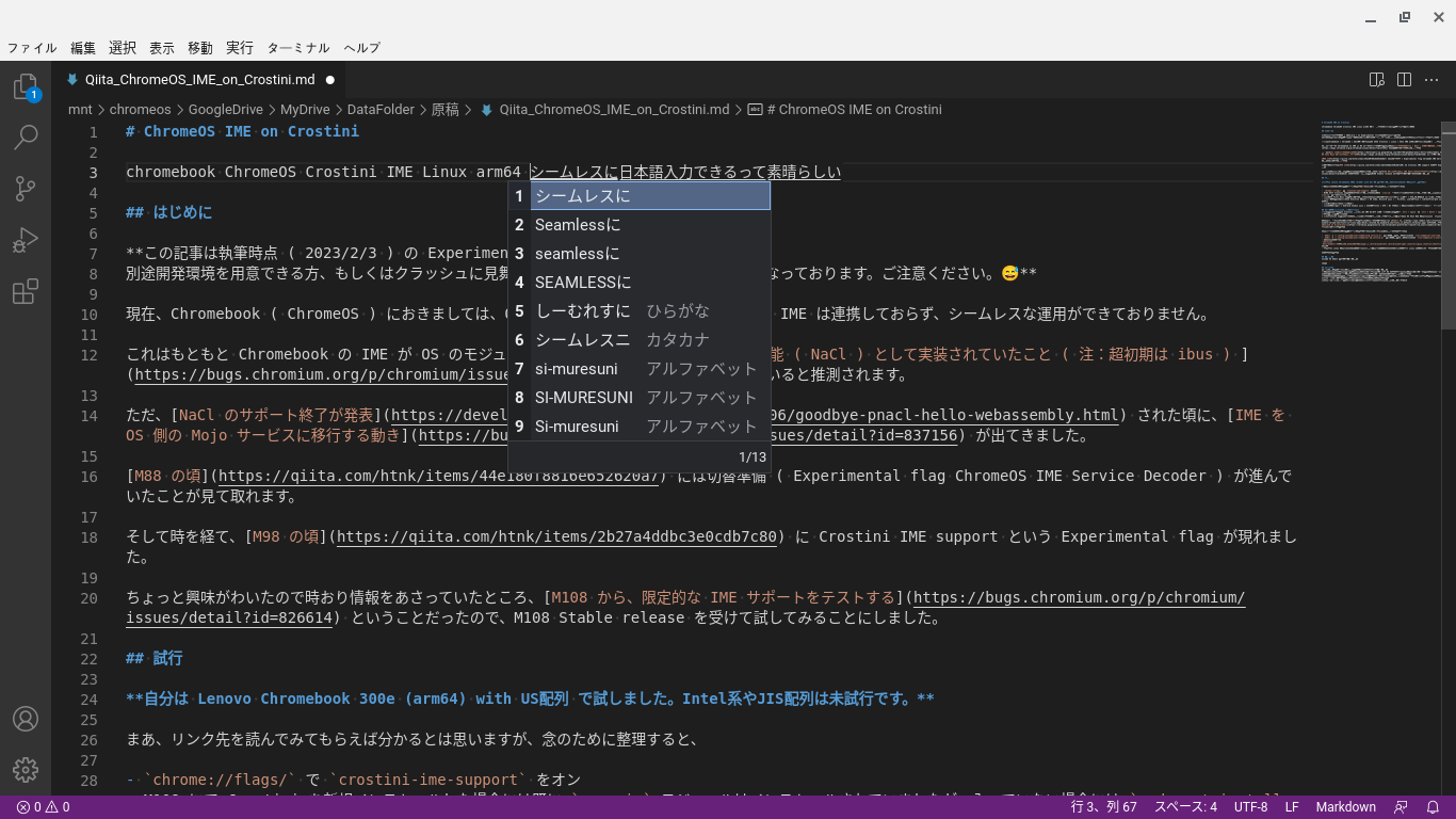 Screenshot_OS-IME_VSCode.png