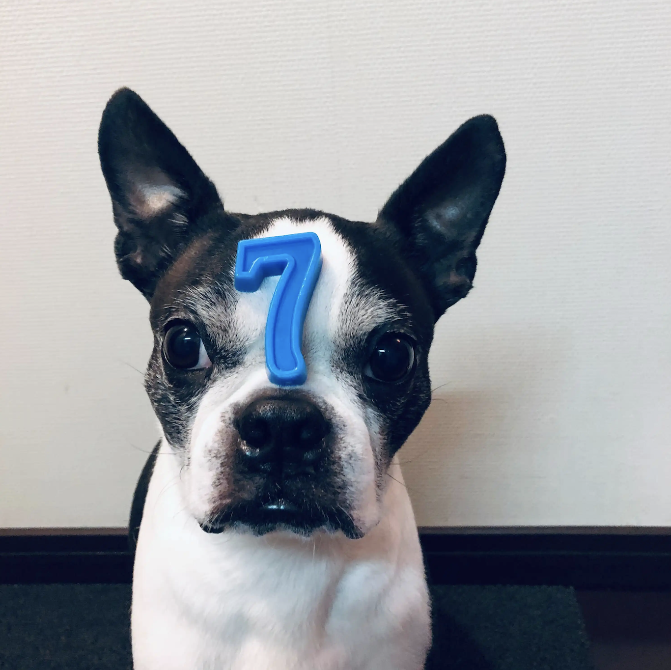 スクリーンショット 2023-02-21 16.15.05.png