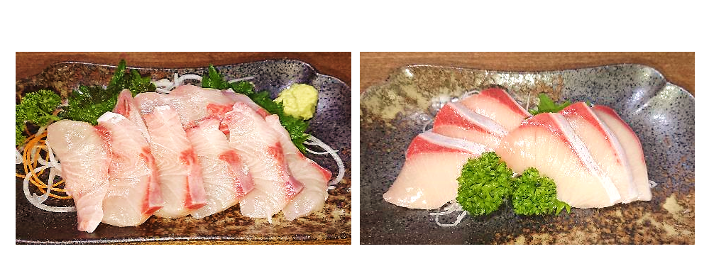 fig01_osashimi.png