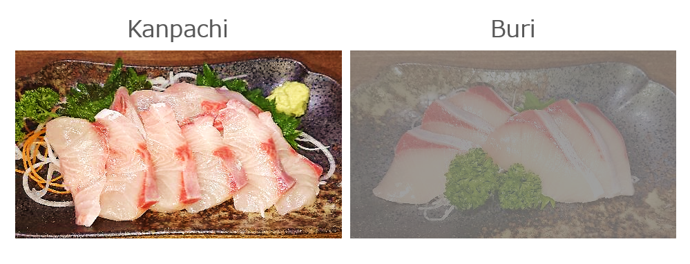 fig02_osashimi2.png