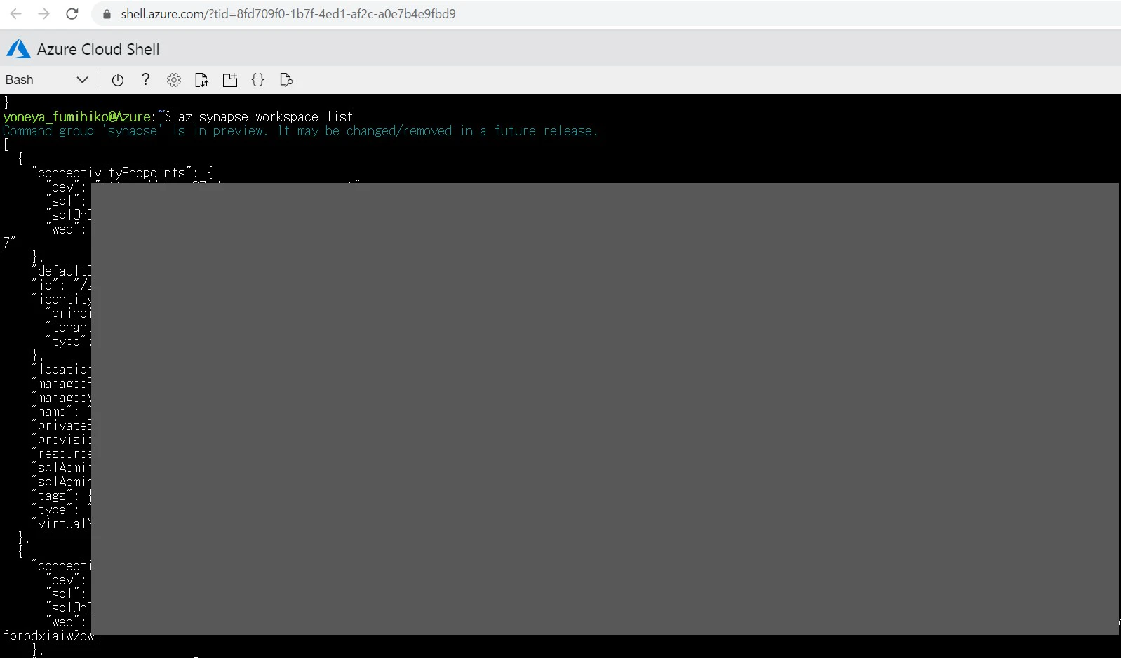 20200804_cli_synapse_01.jpg