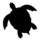 turtle.png