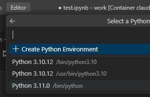 python311を選択.png
