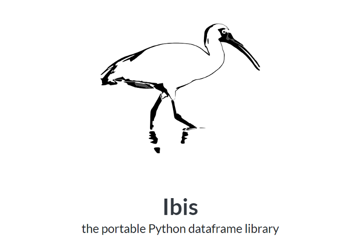 ibis.png