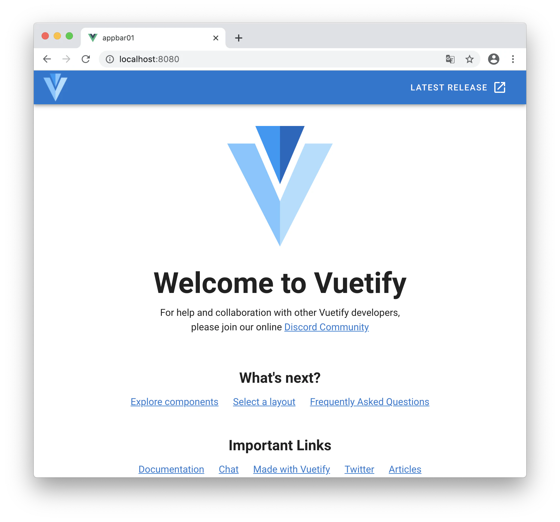 vuetify_1.png