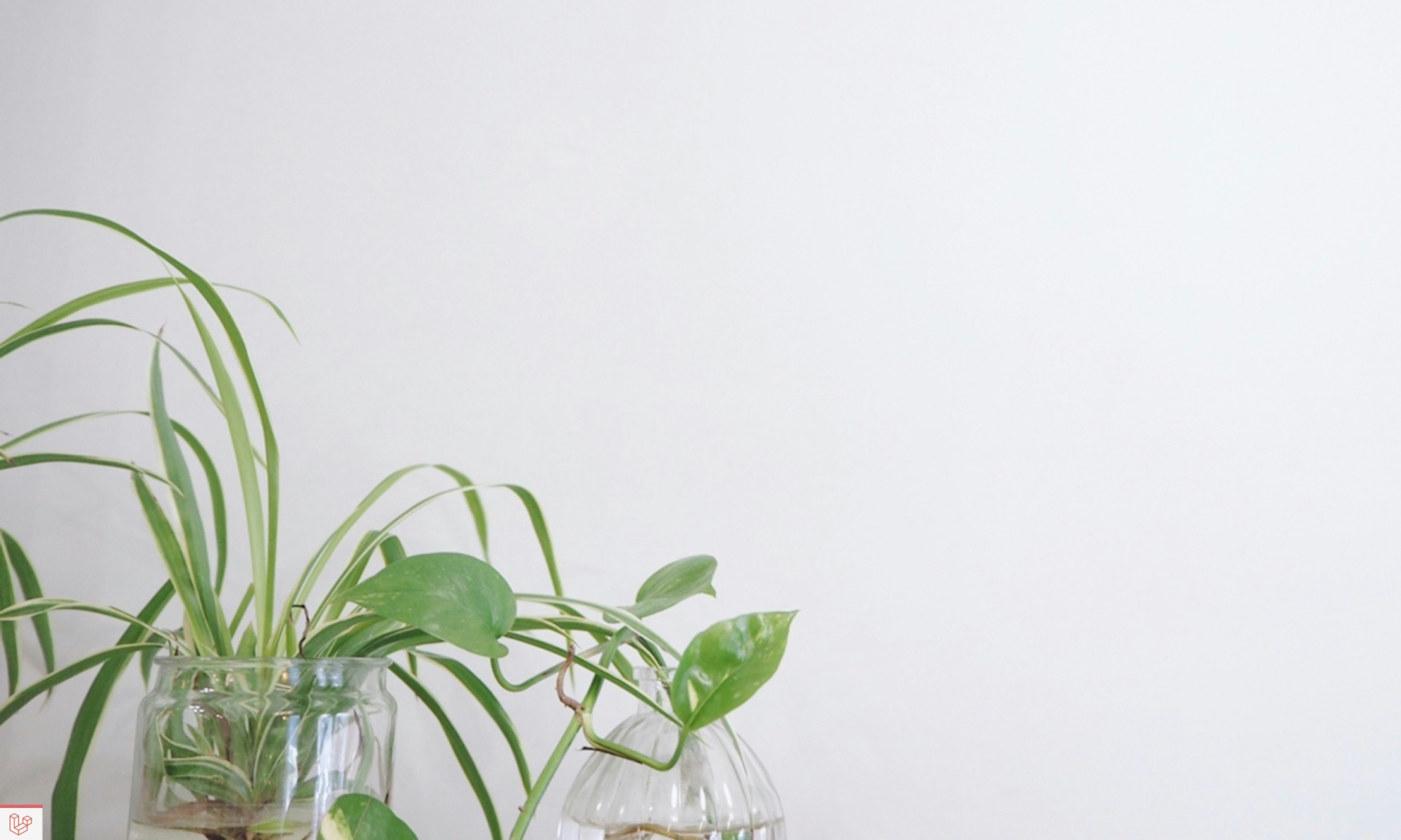 “スクリーンショット” 2021-01-16 19.34.37.jpg