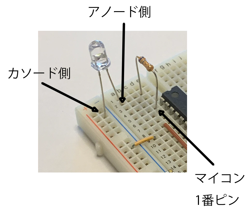 IMG_6175.png