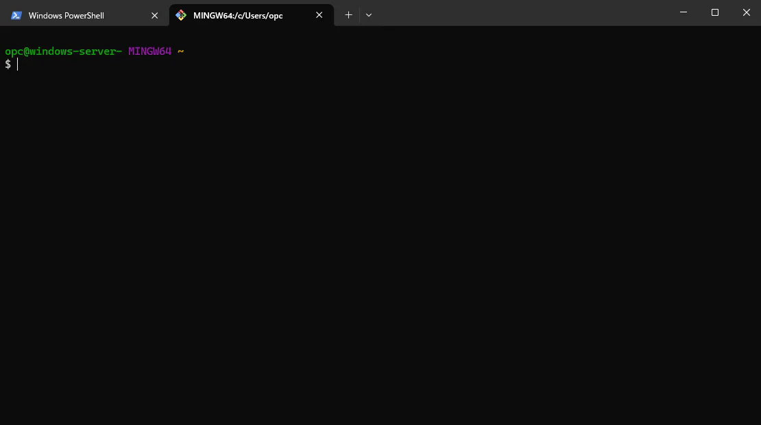 Windows TerminalでGit Bashセッションが開いた画面