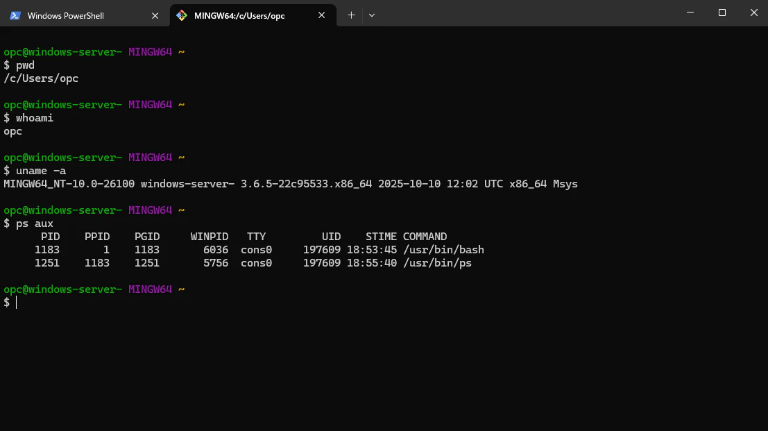 Git Bashターミナルでコマンド実行結果を確認する画面
