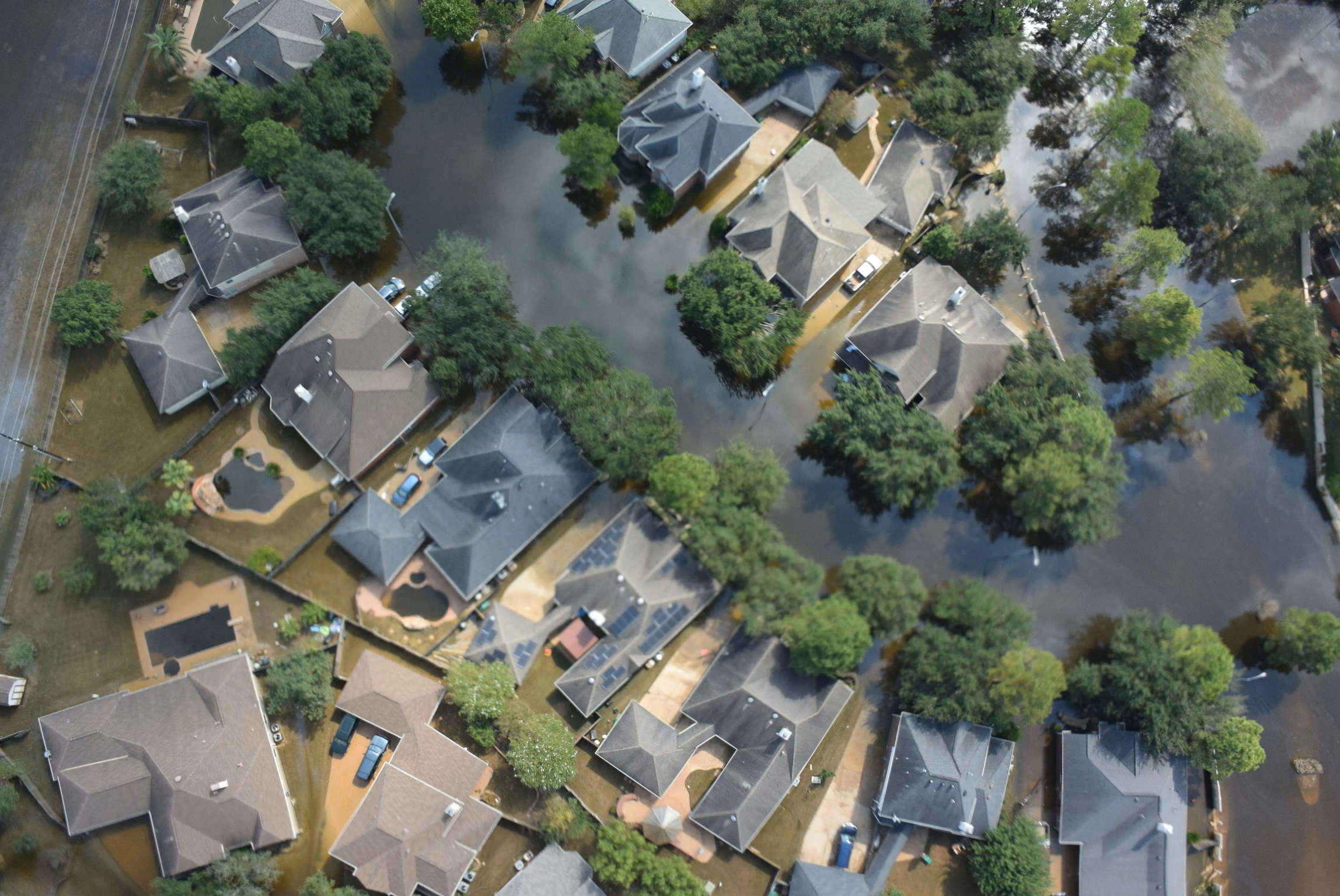 flood.jpg