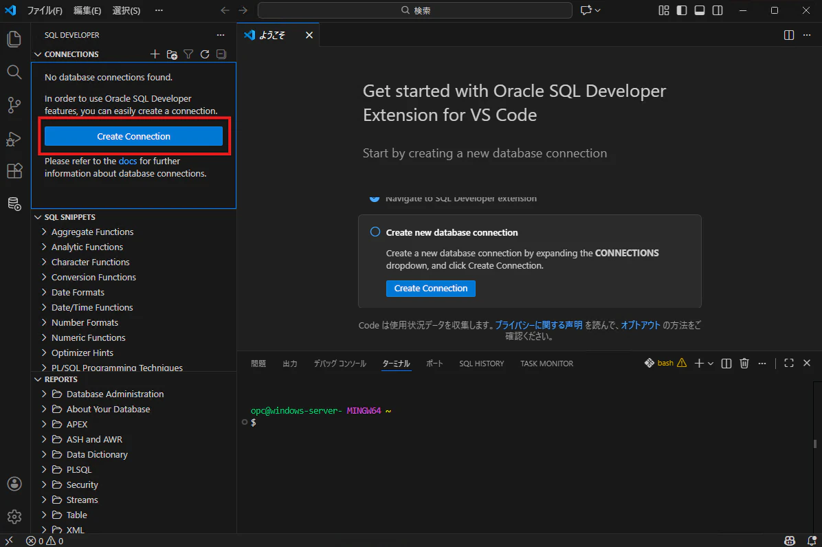 Oracle SQL Developer ExtensionでCreate Connectionを選択する画面