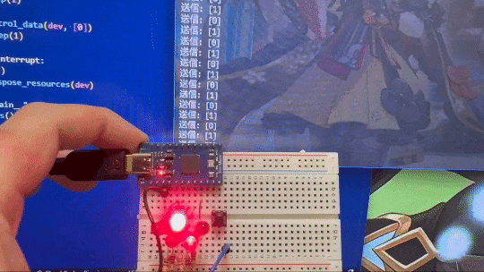 737650613.047268.gif