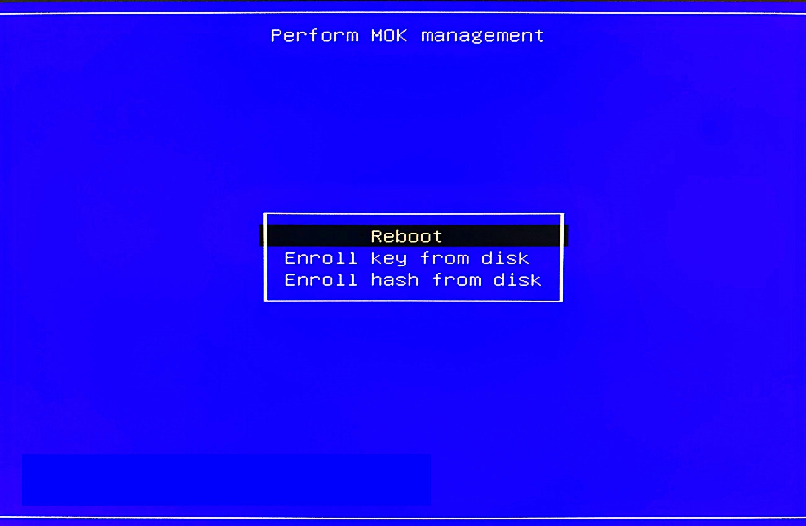 20230210_perform_mok_management_reboot.JPG