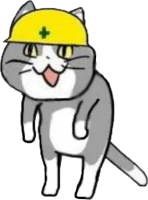 NG.png