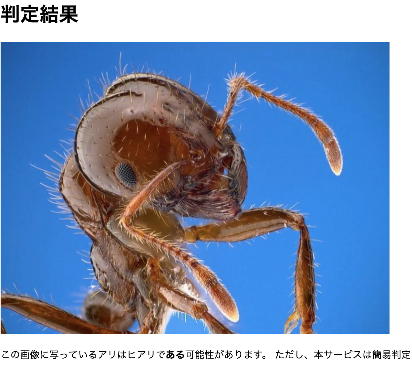 スクリーンショット 2019-12-16 15.24.37.png