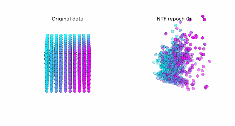 ezgif.com-gif-maker (7).gif