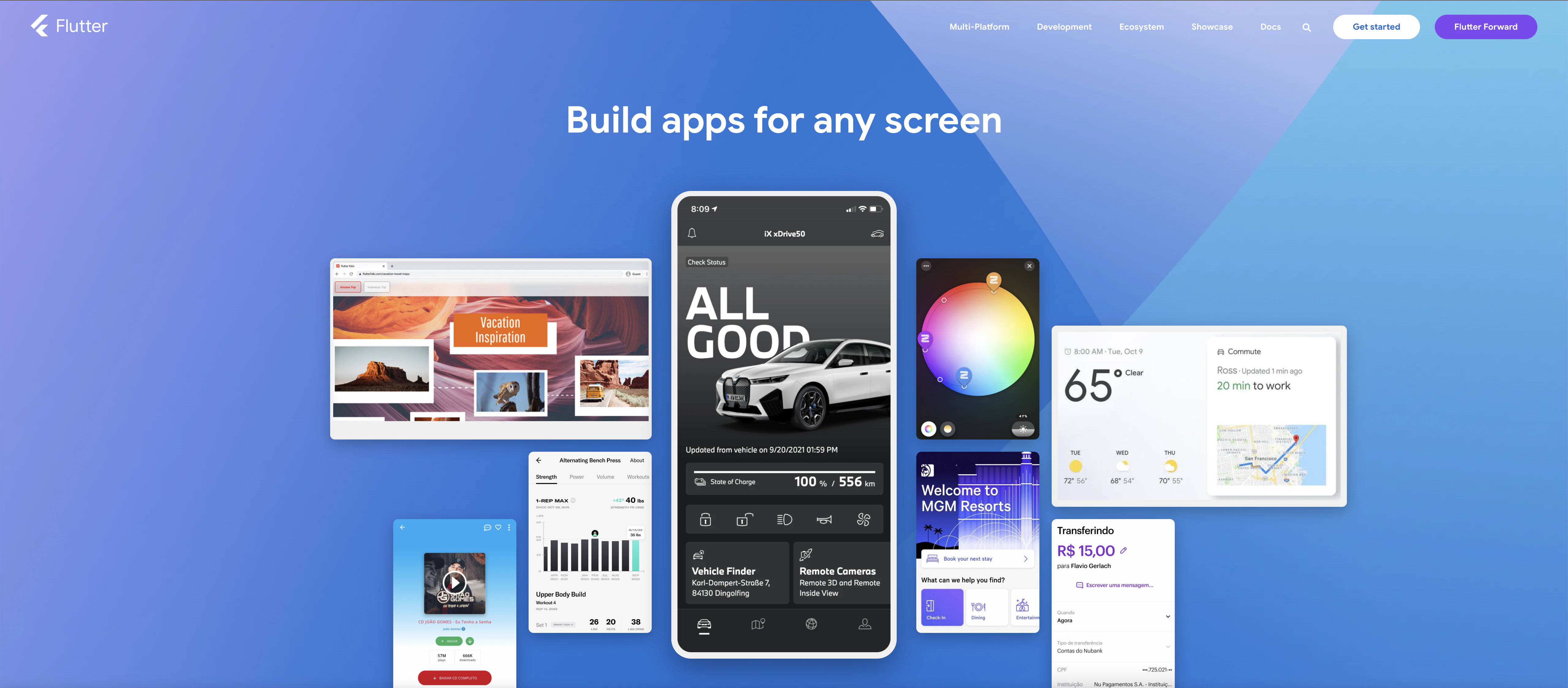 Flutter_01.png
