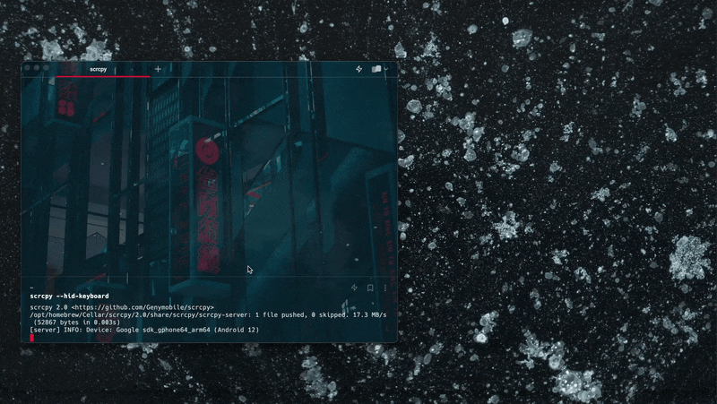 demo.gif