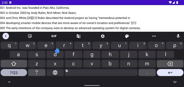 demo.gif
