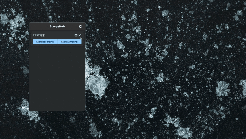 demo2.gif