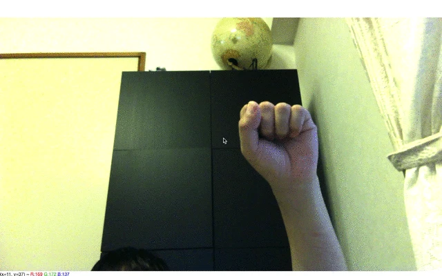 hand_detection.gif