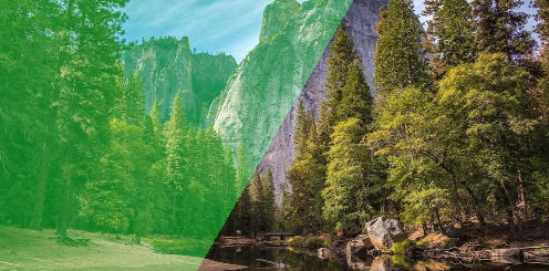 スクリーンショット 2020-11-18 17.39.04.png