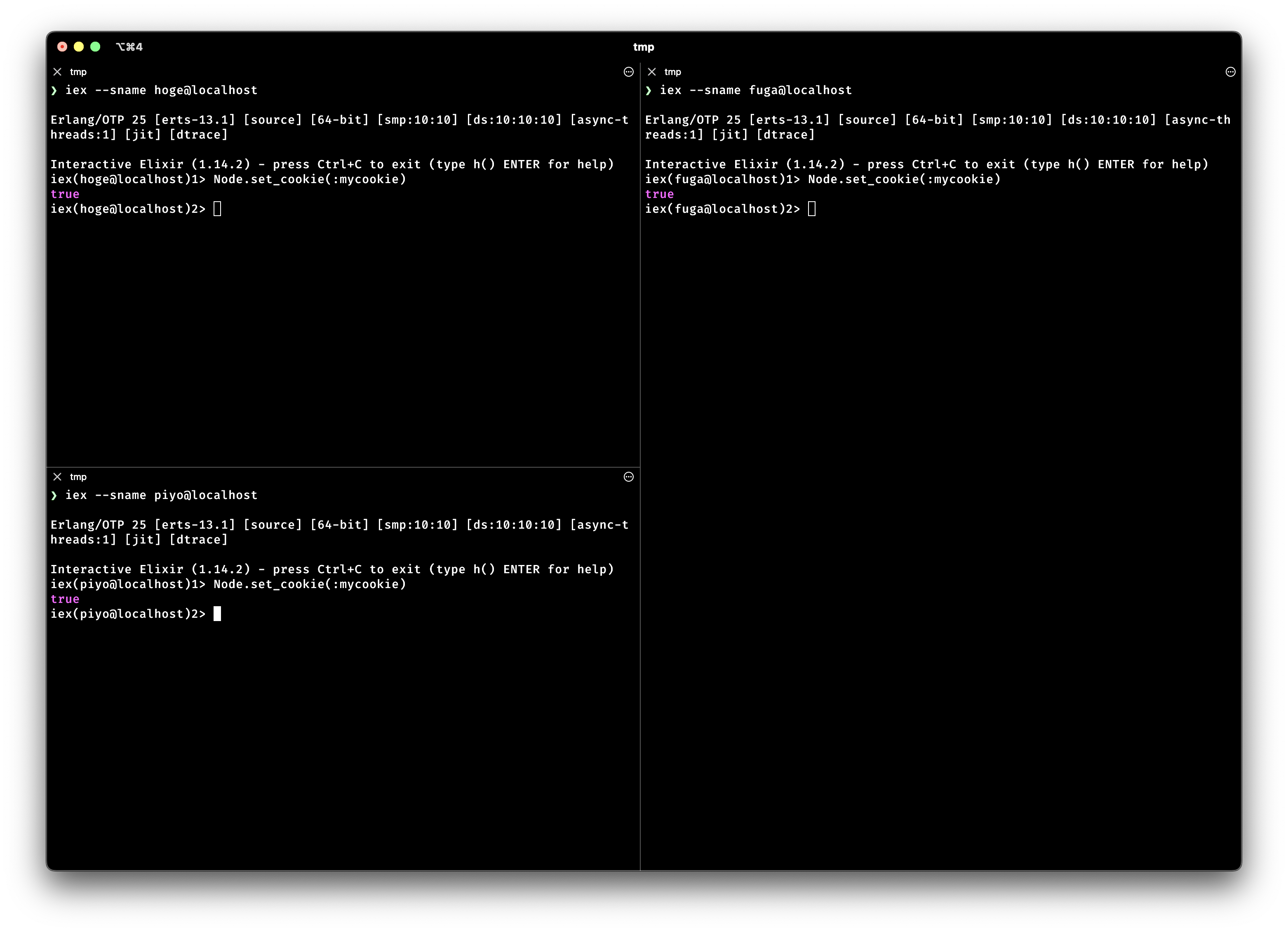 Erlangクッキーを設定