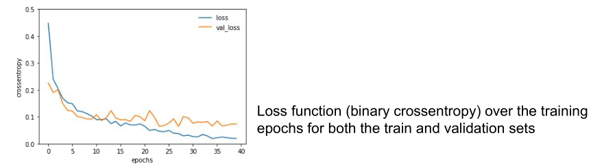 binary cross entropy