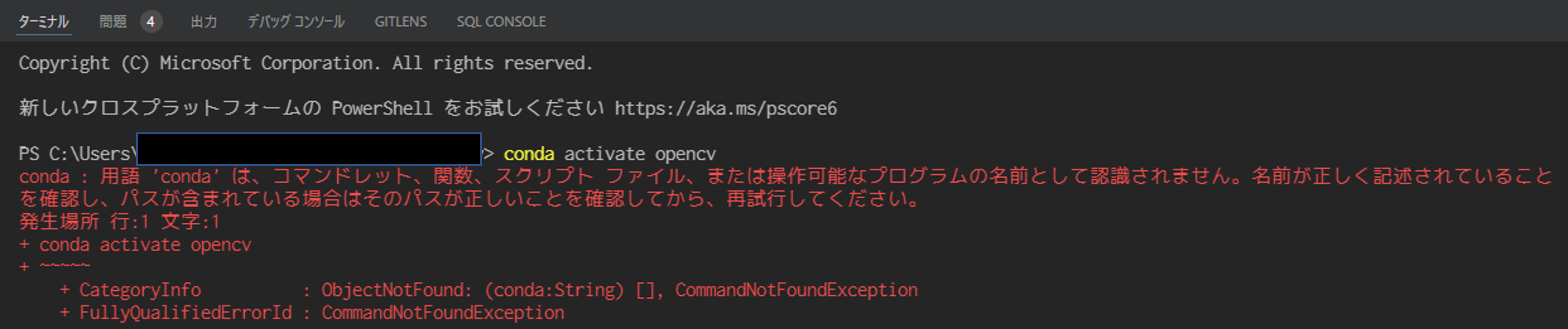 vscode_error.png