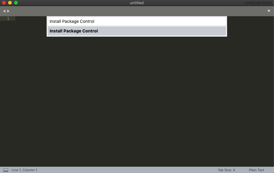sublimeText#package2.png