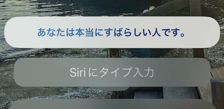 スクリーンショット 2023-12-12 14.06.35.png