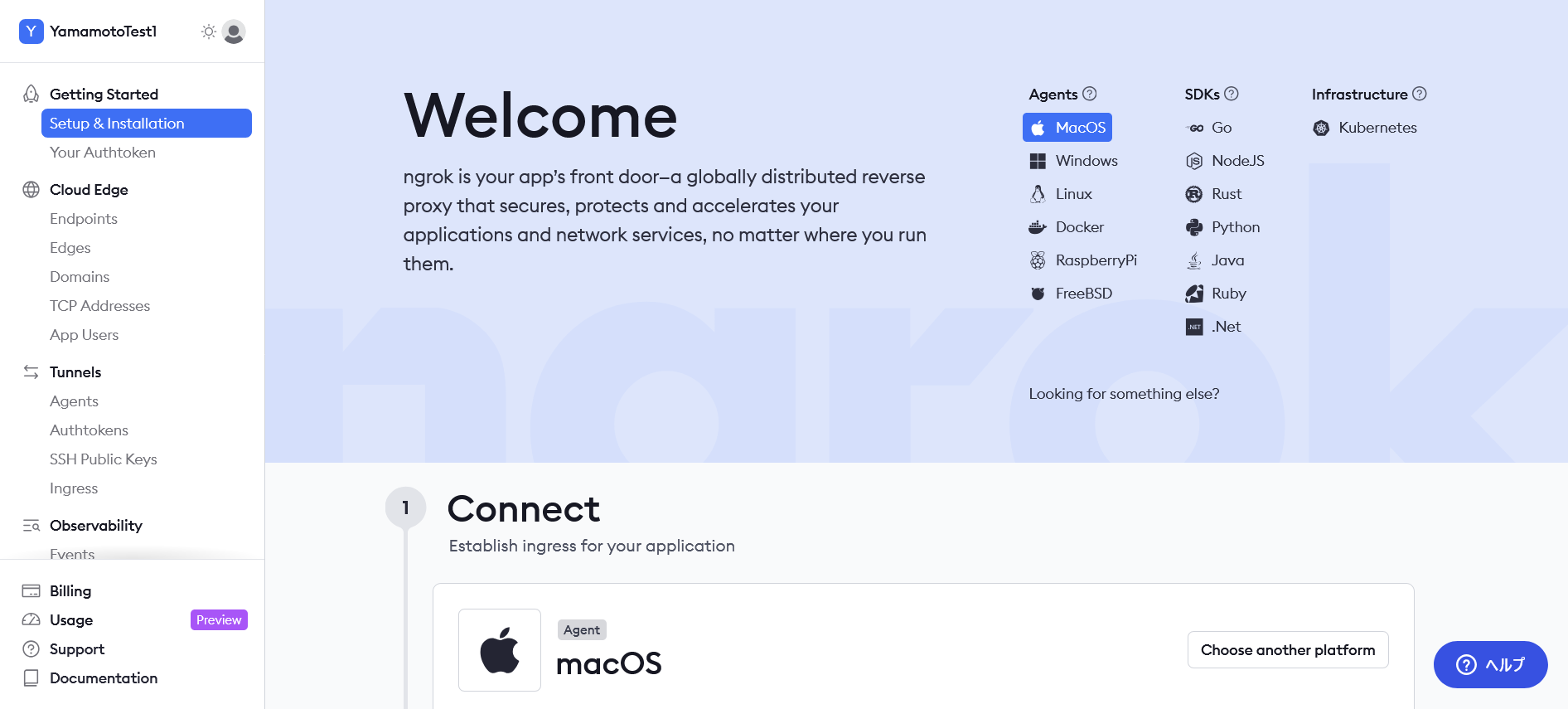 ngrokマイページ・ダッシュボード
