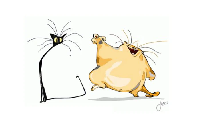 cat fat.png