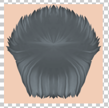 hair.png