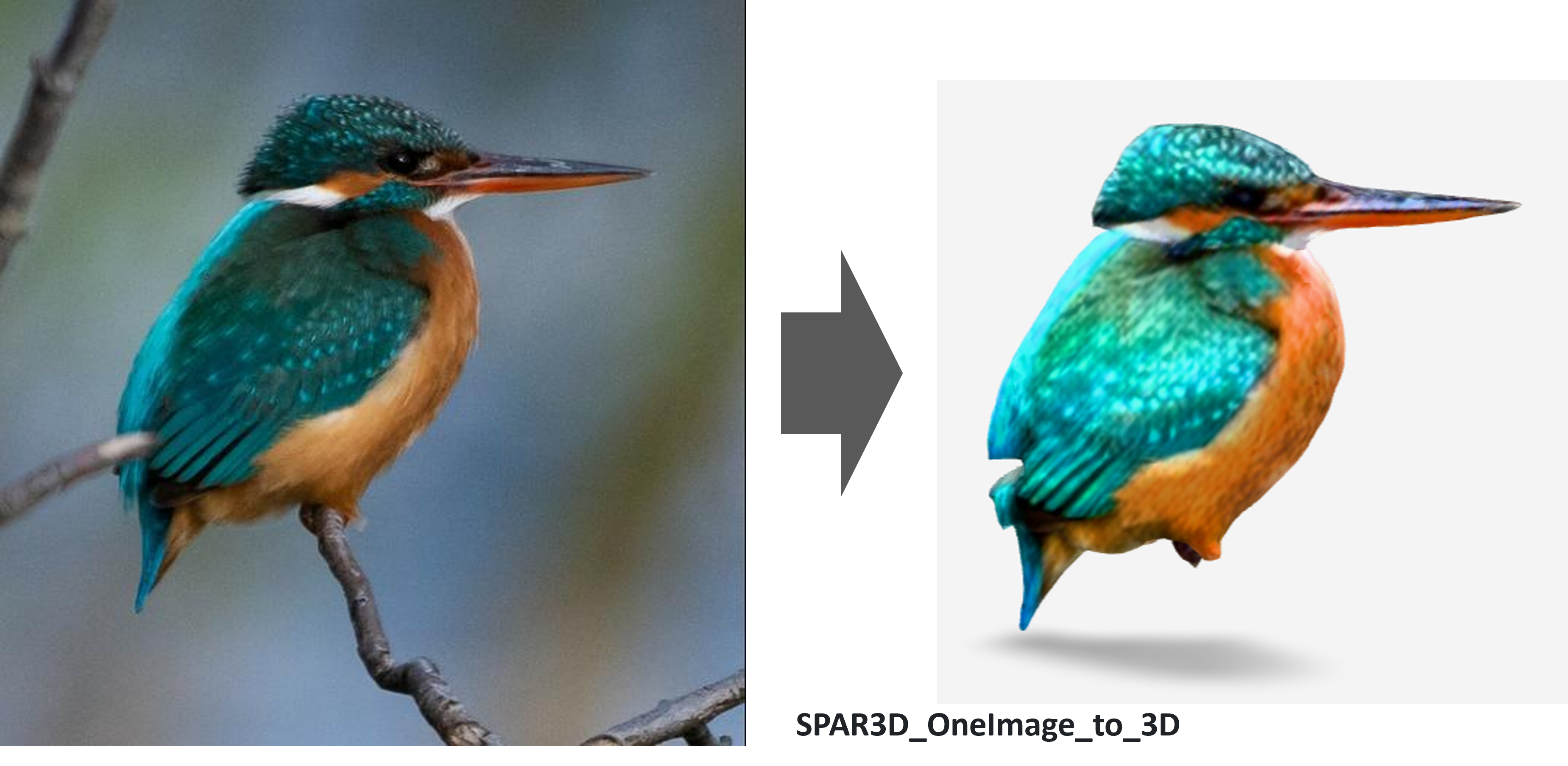 SPAR3D_OneImage_to_3D