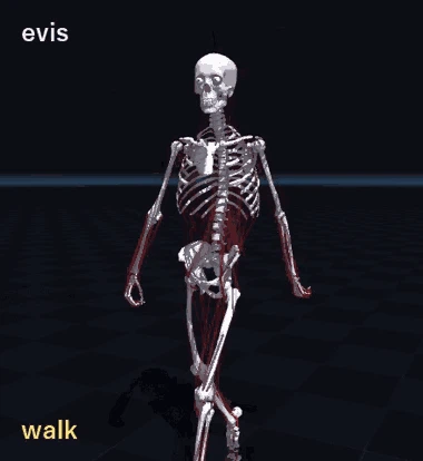 evis 动作集锦