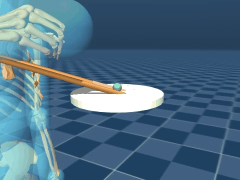 The chopstick oracle leaves the bean behind