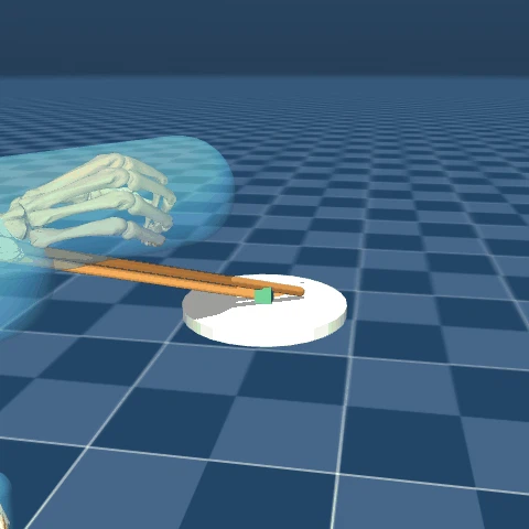 Chopstick diagnostic footage