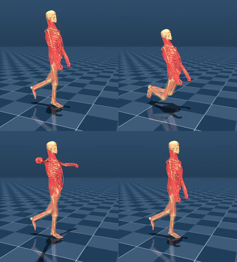 evis 4 poses