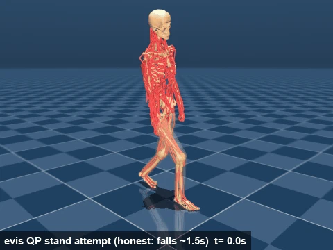 evis standing attempt