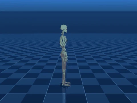 evis swimming