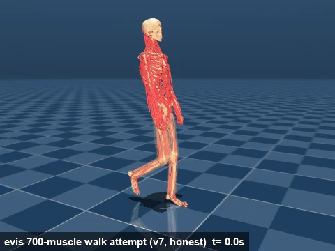 evis walking attempt