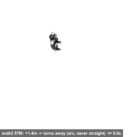 walk2 overhead trajectory