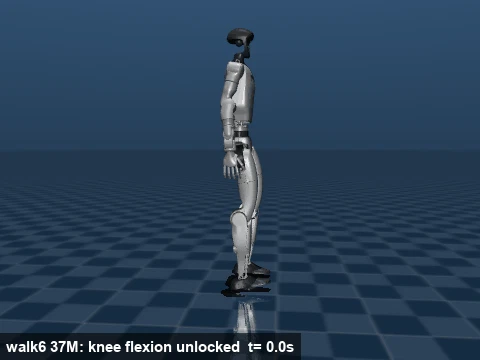 walk6 wins its knees
