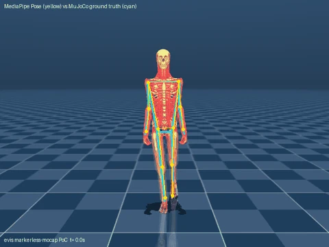 Mocap from video