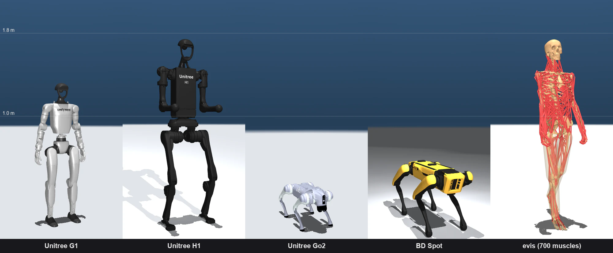 Athlete lineup