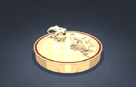 Robot sumo