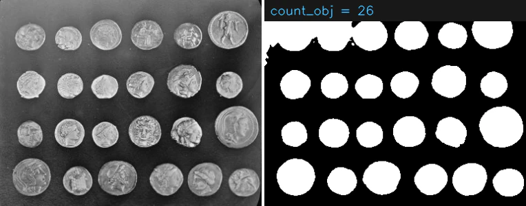 Counting inspection
